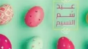 الحكومة تحسم الجدل: هل سيتم ترحيل إجازة شم النسيم 2026 إلى نهاية الأسبوع؟